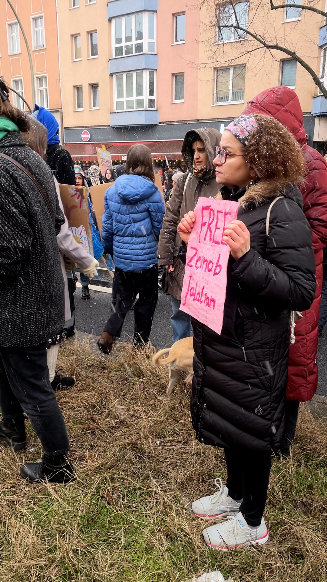Eine Frau steht auf einem Mittelstreifen. Sie trägt ein Stofftuch, das ihre lockigen Haare zurückhält und eine Brille. Sie hält ein pinkes Schild mit der Aufschrift "FREE Zeinab Jalalian". Sie steht in einer Menschenmenge. Es schneit.